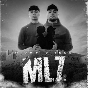 MLZ (Explicit)