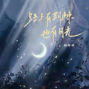 路上有荆棘也有月光 (伴奏)封面
