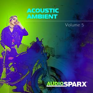 Acoustic Ambient Volume 5