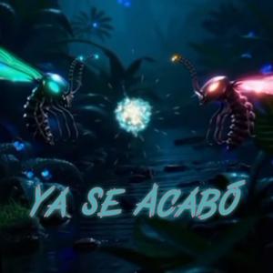Ya Se Acabo