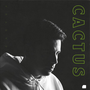 Cactus (Explicit)