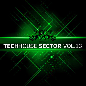 Techhouse Sector, Vol. 13 (Explicit)