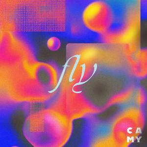 Fly