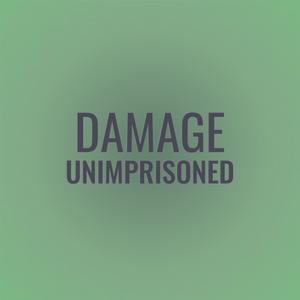 Damage Unimprisoned