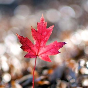 Me estas tentando Remake (伴奏)