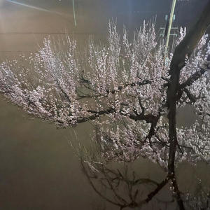 BRACKET DIFF (Explicit)