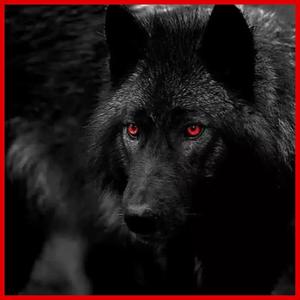 (MISSION UNTOUCHABLE) **** Tunecore (Explicit)