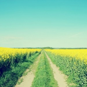 himmel-Ever dream 未夢