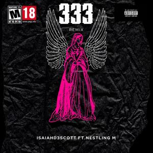 333 (feat. Nestling M) [Remix] [Explicit]