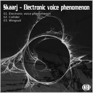 Electronic Voice Phenomenon