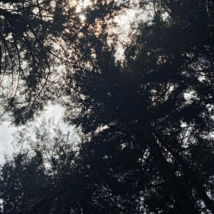 Why You Make Me Feel This Way