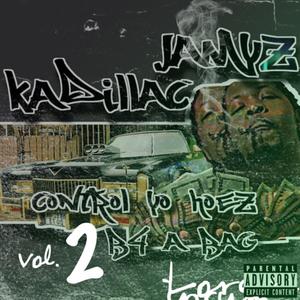 Control Yo Hoez B4 A Bag, Vol. 2 (Explicit)