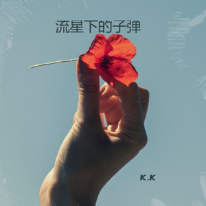 流星下的子弹