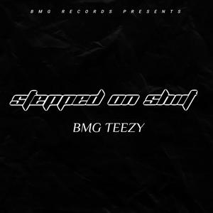 STEPPED ON SHIIT (Explicit)