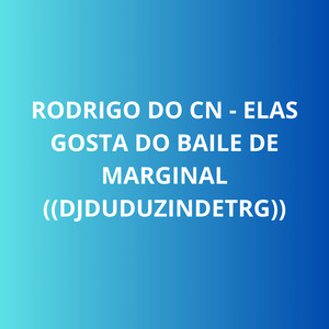 MC RODRIGO DO CN - ELAS GOSTA DO BAILE DE MARGINAL (Explicit)