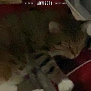 The Last Ride (Explicit)