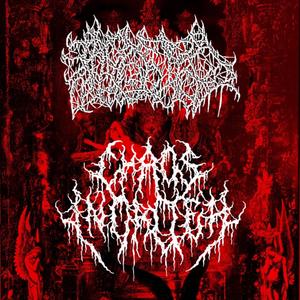 Ruins (feat. Chaos In Order) (Explicit)