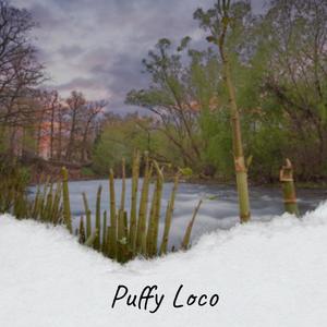 Puffy Loco