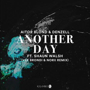 Another Day(feat. Shaun Walsh) (Vee Brondi & NORII Extended Remix)