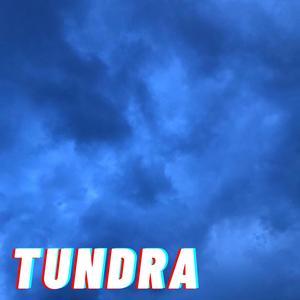 Tundra