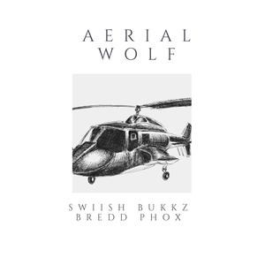 Aerial Wolf (feat. Swiish Bukkz) (Explicit)