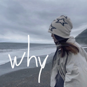 WHY (feat. ER!C)