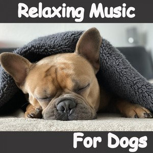 Relaxing Music for Dogs