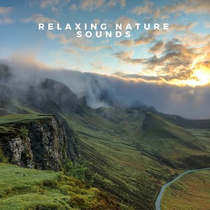 Relaxing Nature Sounds