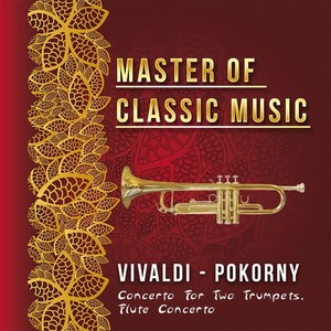 Flute Concerto in D Major, Op. 27 - I. Allegro moderato
