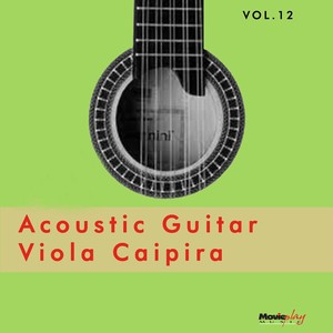 Acoustic Guitar & Viola, Vol. 12