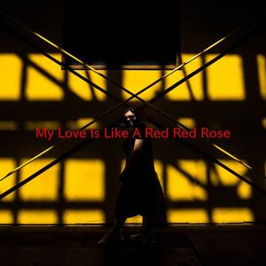 My Love Is Like A Red Red Rose(Karaoke)