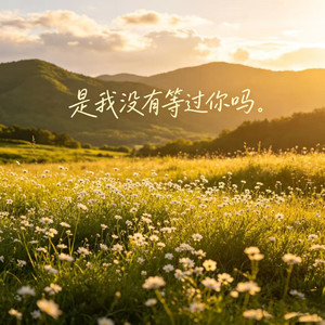 是我没有等过你吗 (动感版)封面