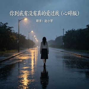 你到底有没有真的爱过我 (心碎版)