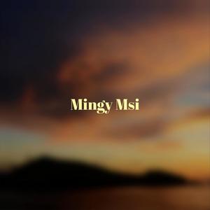 Mingy Msi