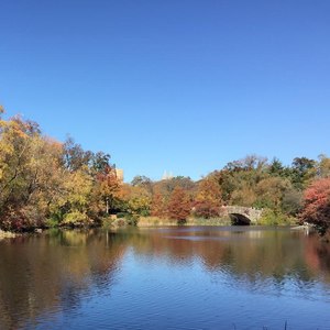 Grace Girl (男声版)