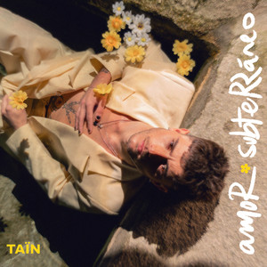 Si pudiéramos hablar