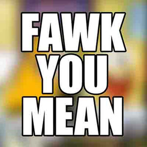 Fawk You Mean (Explicit)