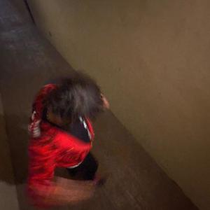 money so big (XAE.Miami guitar version)