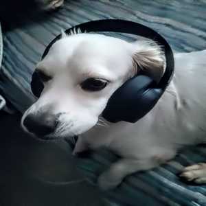 Smile at life (Demo)