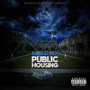 Public housing (feat. Ol gold) [Explicit]