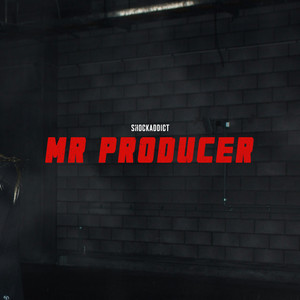 Mr Producer