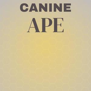 Canine Ape