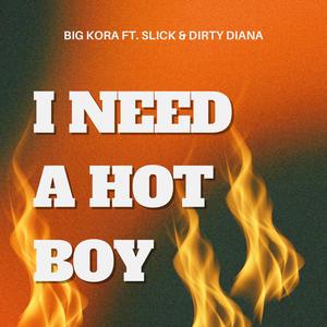 I need a Hot Boy (feat. Slick & Dirty Diana) (Explicit)