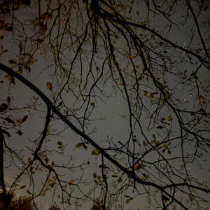 Drxg Mxsic (Explicit)