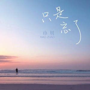 只是忘了