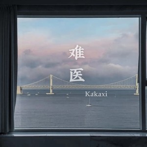 难医 (伴奏)