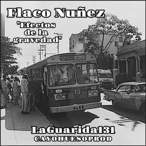 Efectos de la gravedad (feat. LaGuarida131)