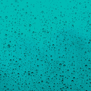 Rolling Forest Rains