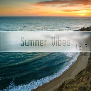 "Summer Vibes,Vol.7"