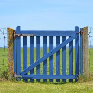 Opening(feat. Flemming Agerskov & Niels Lichtenberg)